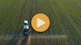 Dicamba Restrictions