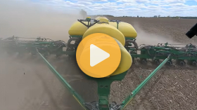 Perfect Planting Conditions