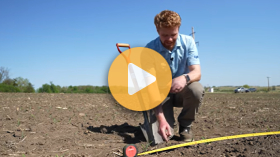 Doing Stand Counts in Corn