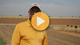 Fighting Wheat Streak Mosaic Virus