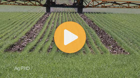 Tramlines in Fields