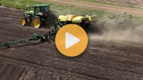Planting in New Ground