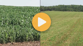 Turning Row Crops Into Forage