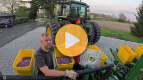 Planting Corn