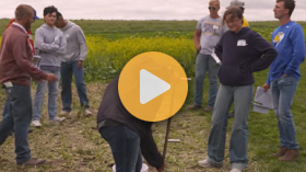 Ag PhD Scouting & Scholarships