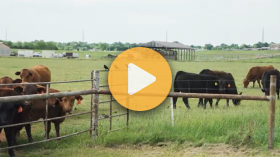 Farm Bill Update