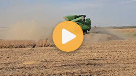 Harvest 2025