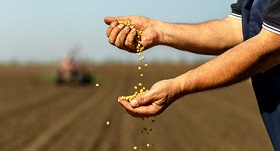 Senate Ag Committee Passes Farm Bill