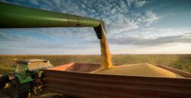 Soybean Harvest Expected to be Fast and Furious