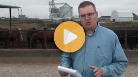 Palmer Amaranth Challenges