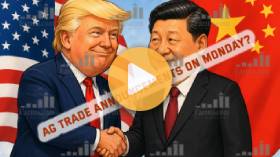 Trump/Xi Summit