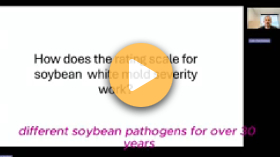 Monitoring White Mold in Soybeans