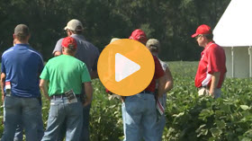 Soybean Management Tour