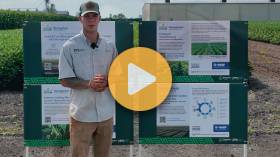 Nemasphere Soybeans Study